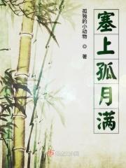 塞上孤月满 塞上孤月满